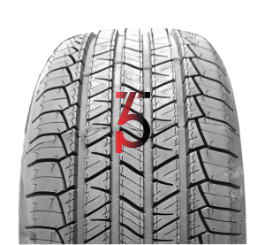 >>Etichetta Pneumatici RIKEN 701 235/55 R19 105V XL