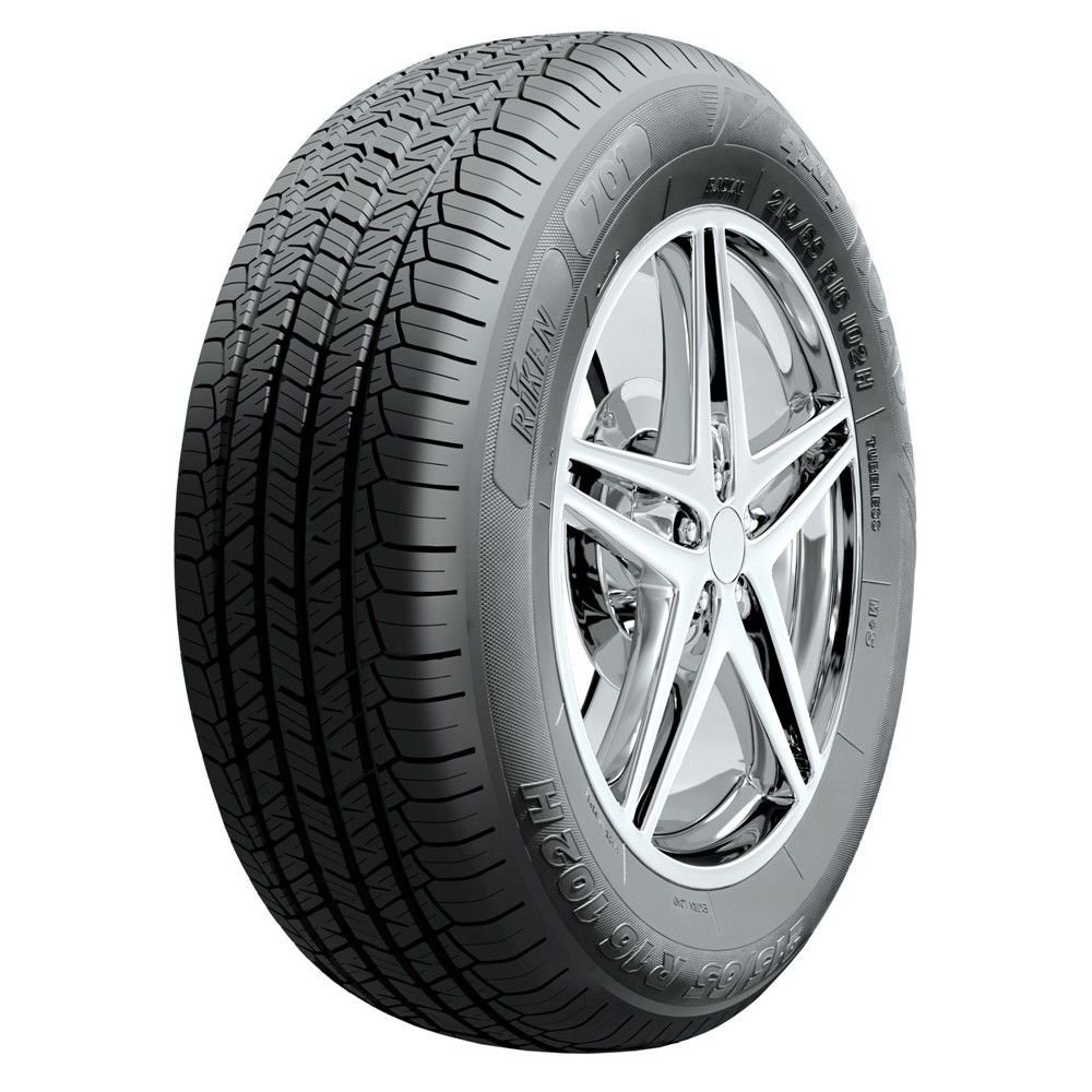 >>Etichetta Pneumatici RIKEN 701 225/65 R17 106H XL