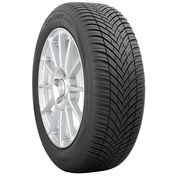 >>Etichetta Pneumatici TOYO CE-AS2 195/55 R15 89 V XL